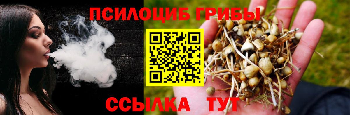 Галлюциногенные грибы прущие грибы  Вход с VPN  Псилоцибиновые грибы ЛСД  Моздок 